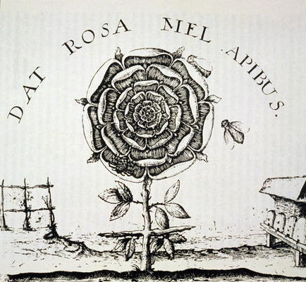 Rosicrucian Allegory, copy of an engraving by Johann Theodore de Bry (c.1598), used in a 'History of van French School, (16th century) (after)