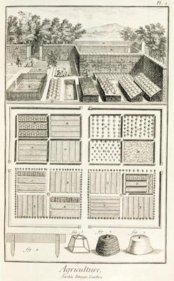A vegetable garden, from 'The Encyclopedia of Science, Art and Engineering' by Denis Diderot (1713-8 van French School, (18th century)