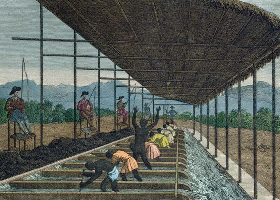 Slaves washing 'cascalho' as part of the diamond mining process in Brazil, 1811 (coloured engraving) van French School, (19th century)