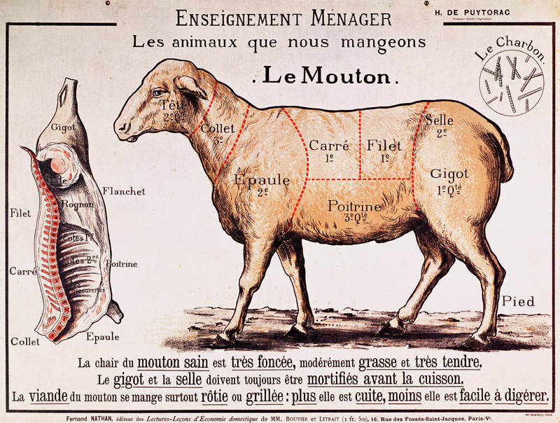 Mutton: diagram depicting the different cuts of meat (colour litho) van French School, (20th century)