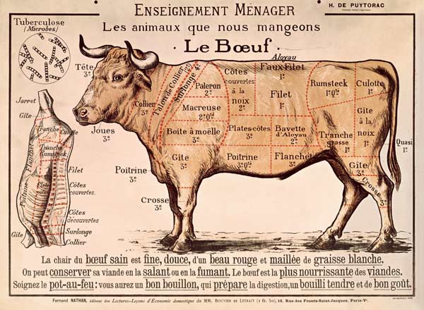 Vlees: diagram met de verschillende deelstukken van vlees (kleurenlitho) van French School, (20th century)