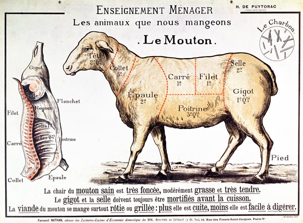 Mutton: diagram depicting the different cuts of meat (colour litho) van French School, (20th century)