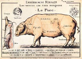 Vlees: diagram met de verschillende deelstukken van varken (kleurenlitho) by H. de Puytorac, publish