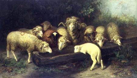 The Sheep Trough van Friedrich Ferdinand Schmalzigaug
