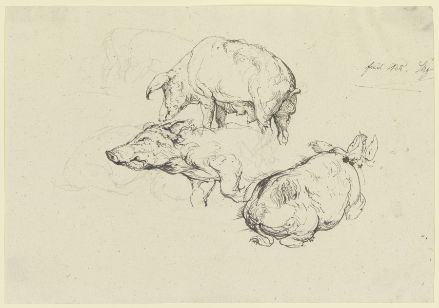 Three pigs van Friedrich Nerly