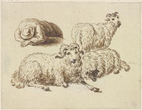 Drei Schafe und ein schlafender Hirte