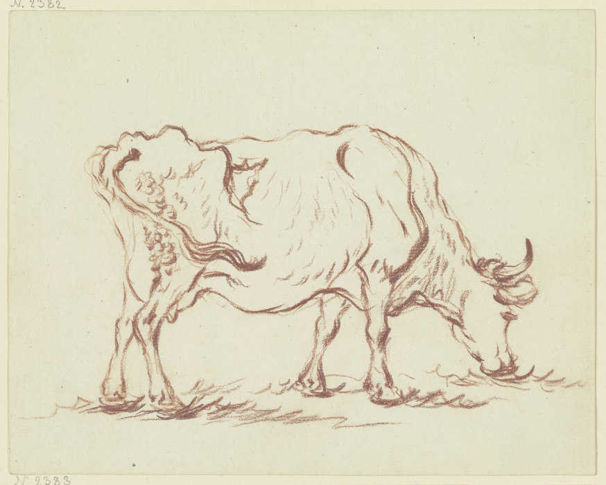 Grasende Kuh nach rechts van Friedrich Wilhelm Hirt