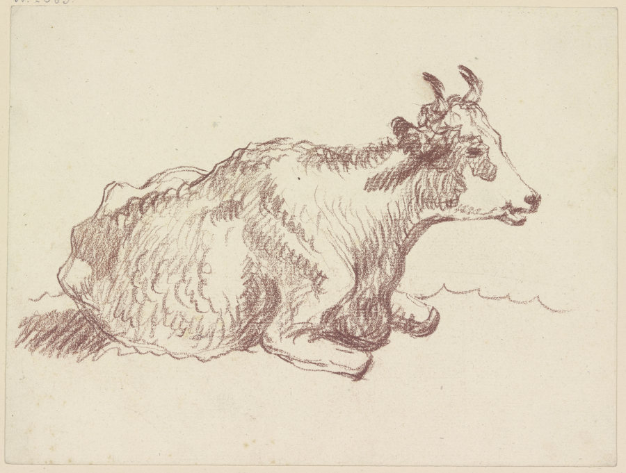 Lying cow van Friedrich Wilhelm Hirt