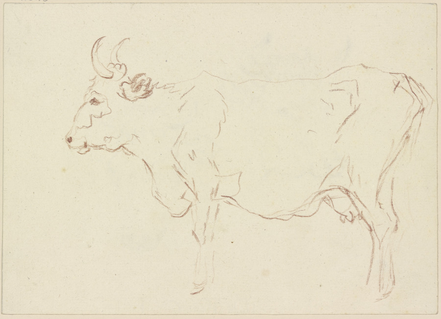 Standing cow to the left van Friedrich Wilhelm Hirt