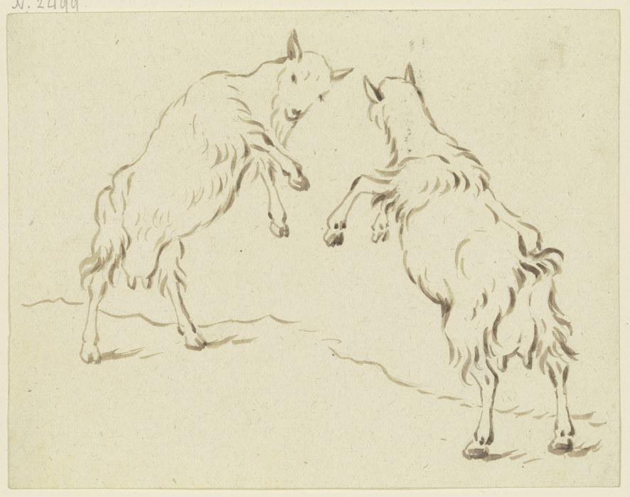 Zwei Ziegen, einander angreifend van Friedrich Wilhelm Hirt