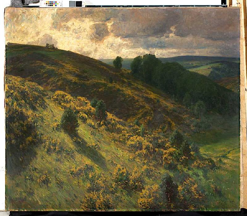 Eifelgold (Schleidener Tal in der Ginsterblüte) van Fritz von Wille