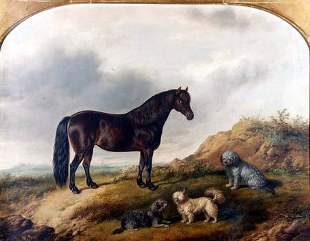 A Pony and three Terriers in a landscape van G. Jackson