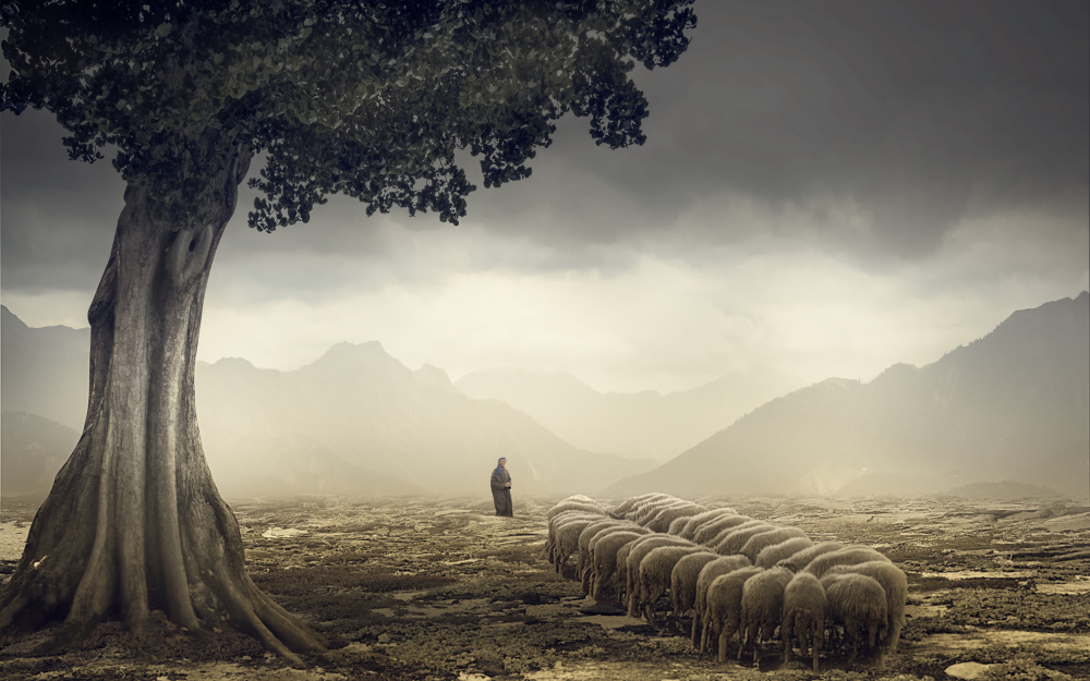 The Shepherd van Gabrielle Halperin