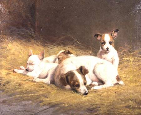 A Terrier with Three Puppies van Gabrielle Rainer-Istuanty