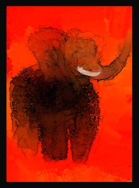 Fun Elephant 4 van David Ganssi