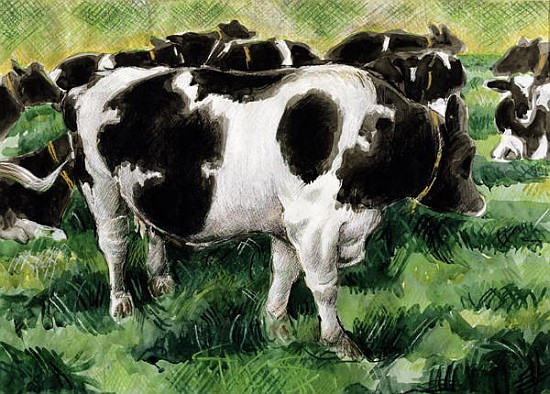 Friesian Cows (w/c)  van Gareth Lloyd  Ball
