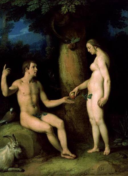 Adam and Eve van (gen. van Haarlem) Cornelisz Cornelis