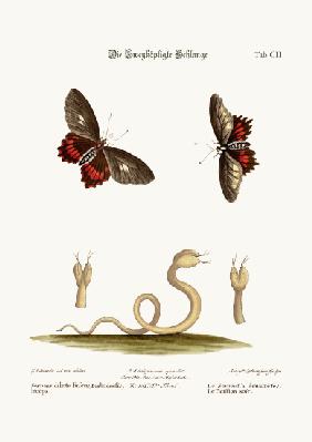 The Double-headed Snake. The Black Butterflies