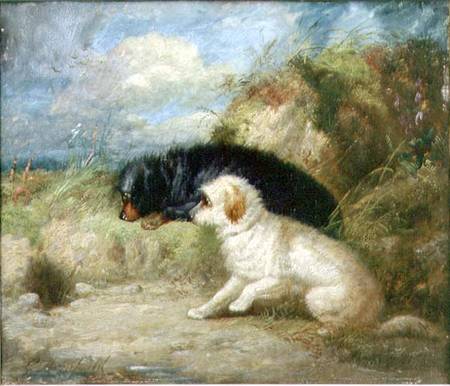 Terriers by a Rabbit Hole van George Armfield