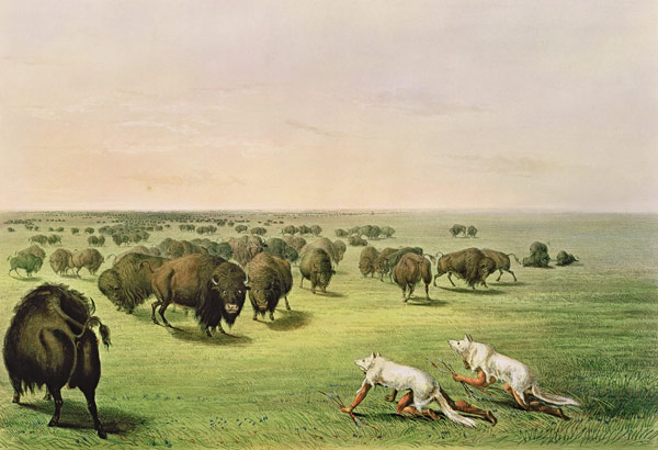 Hunting Buffalo Camouflaged with Wolf Skins, c.1832 van George Catlin