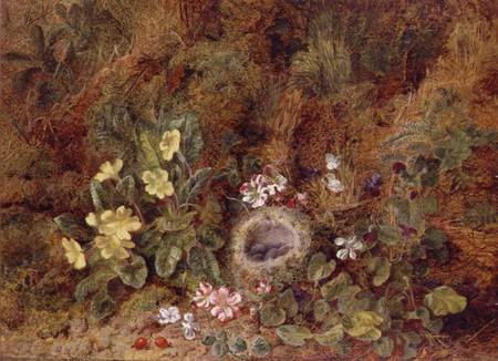 Still Life with Bird's Nest and Wild Flowers van George Clare
