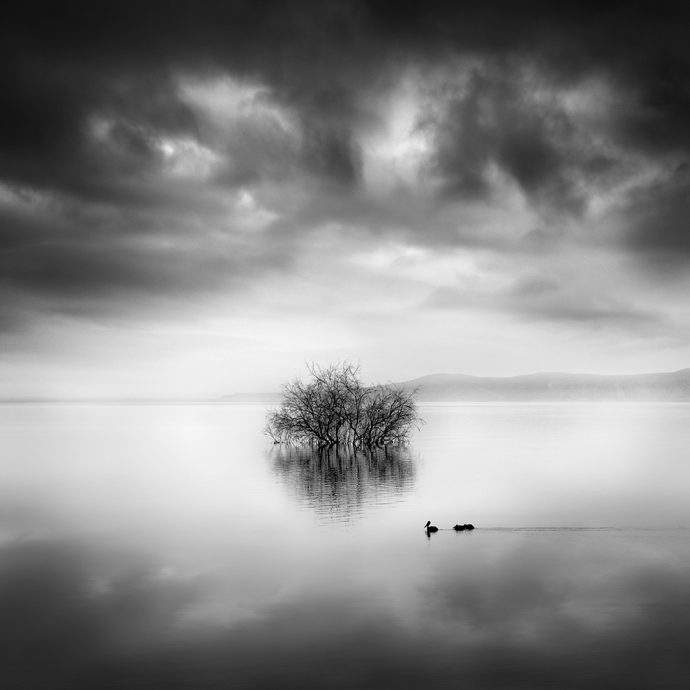 A Ray of Light van George Digalakis