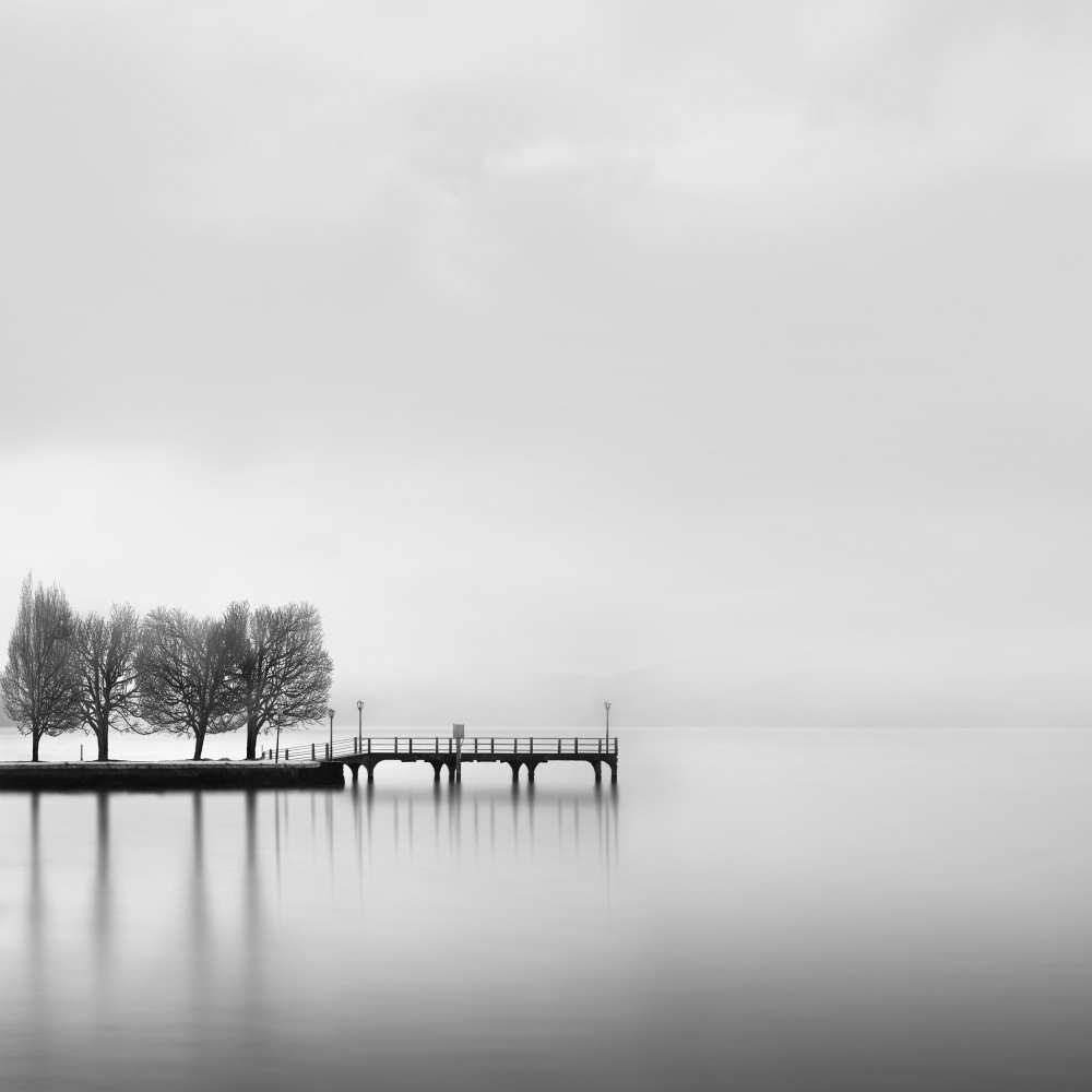 Pier with Trees (2) van George Digalakis