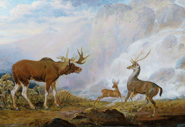 Earl of Orford's Elk, Antelope and Stag van George Garrard