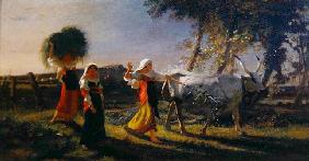 Italian Peasant Women in the Campagna driving an Ox (oil on canvas)