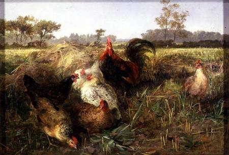 Fowls in the Stubble van George Hickin