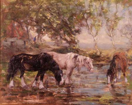 Horses at a Pool van George Smith