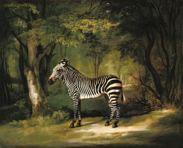 A Zebra van George Stubbs
