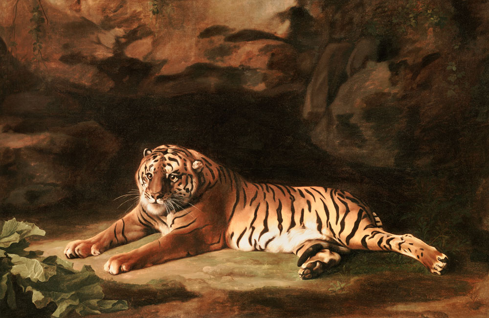 Portrait of the Royal Tiger, c.1770 van George Stubbs