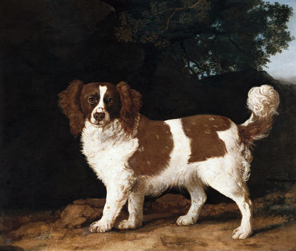 Fanny, the Favourite Spaniel of Mrs. Musters, Standing in a Wooded Landscape van George Stubbs