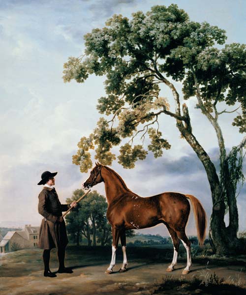 Pferdepfleger mit dem Araberpferd Lord Grosvenor van George Stubbs