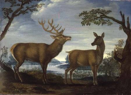 Stag and hind in a wooded landscape (panel) van German School