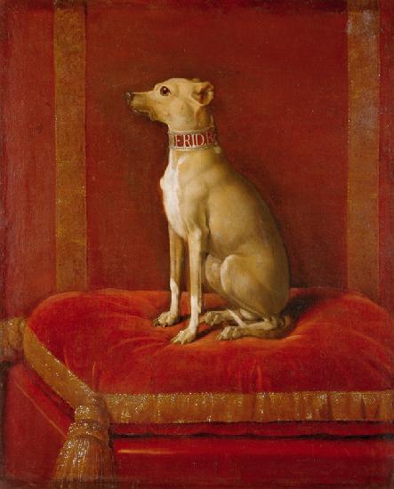 One of Frederick II''s Italian greyhounds