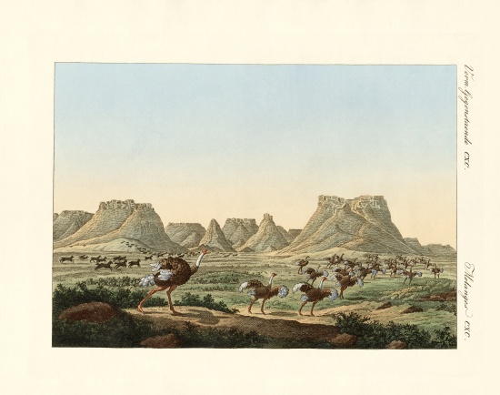 Area in South Africa at the forland of Good Hope van German School, (19th century)