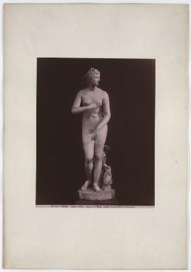 Florence: Venus deMedici, famous Greek work by Cleomene, Uffizi Gallery, No. 3150 bis