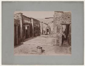 Pompeii: House of the Tragic Poet, No. 5056