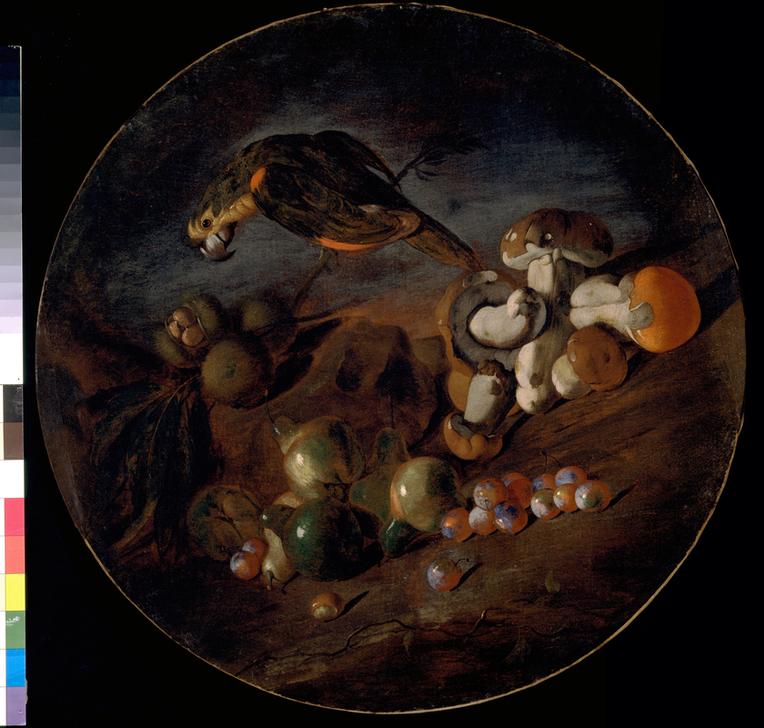 Stillleben mit Pilzen, Früchten und Papagei van Giacomo Fardella de Calvello