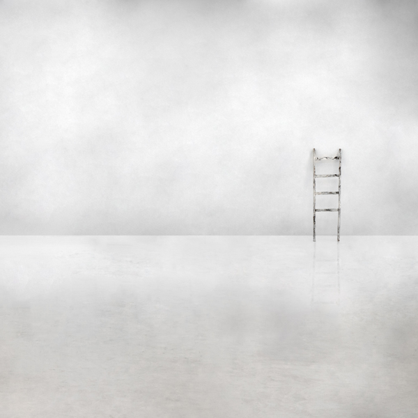 The social ladder van Gilbert Claes