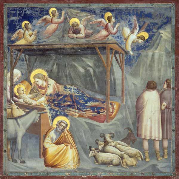 Giotto, Christi Geburt van Giotto (di Bondone)