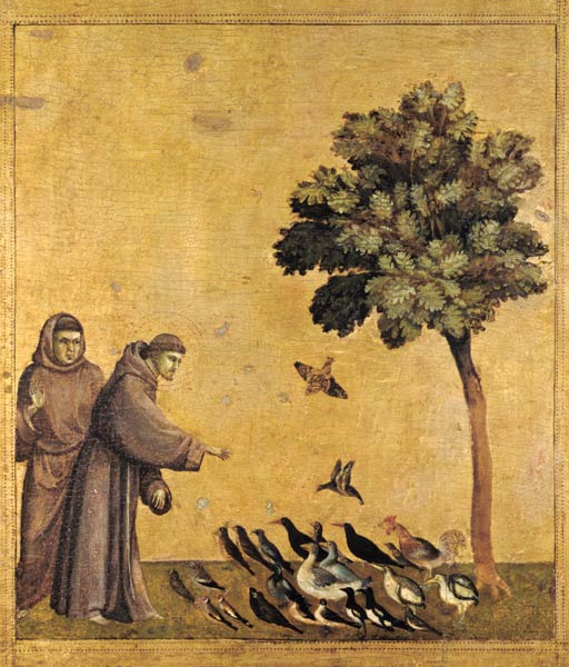 St. Francis of Assisi preaching to the birds van Giotto (di Bondone)