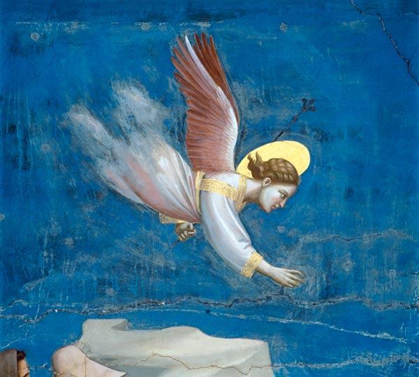 Giotto, Traum Joachims / Ausschnitt