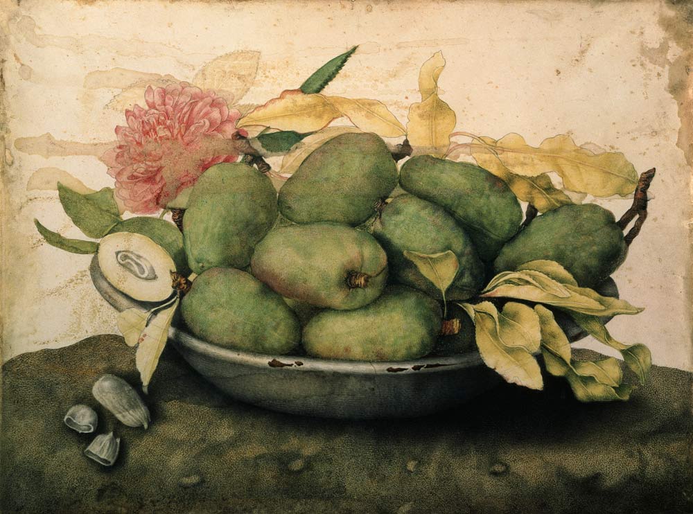G.Garzoni / Bowl with Plums.../ c.1650 van Giovanna Garzoni