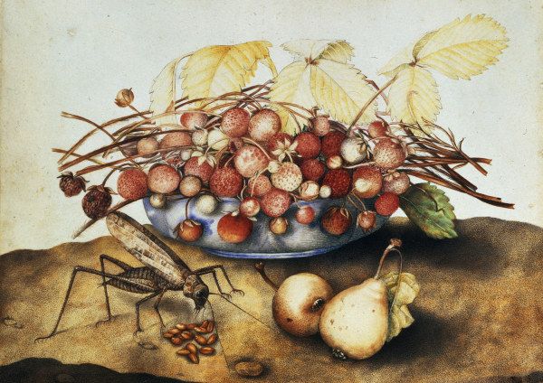 G.Garzoni, Schale mit Erdbeeren van Giovanna Garzoni