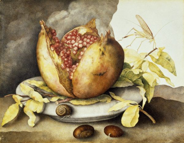 G.Garzoni, Teller mit Granatapfel van Giovanna Garzoni