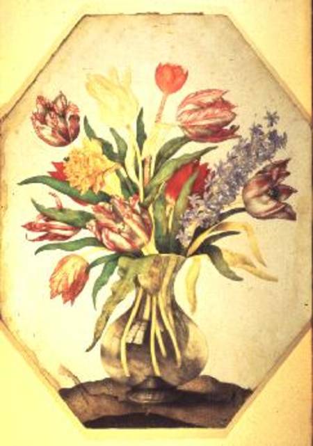 Glass Vase of Tulips with a Hyacinth van Giovanna Garzoni