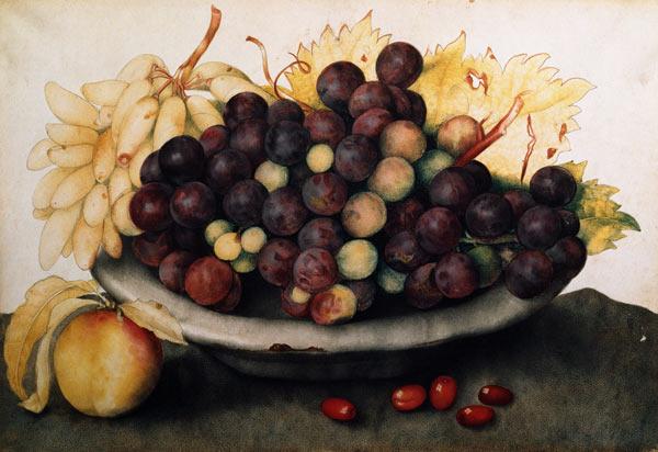 G.Garzoni, Schale mit Weintrauben